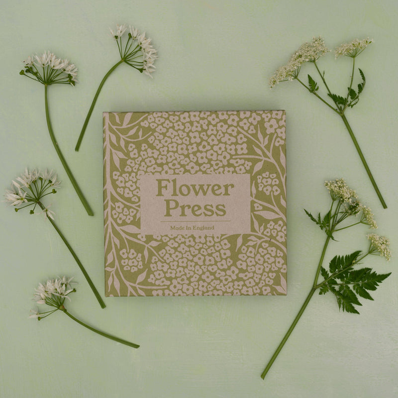 Forget Me Not Flower Press by Studio Wald
