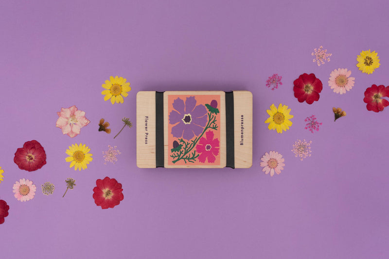 Cosmos Pocket Flower Press by Studio Wald