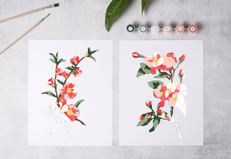 Cherry Blossoms Paint-By-Numbers kit by Cate Paper Co
