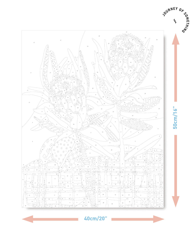 Paint by Numbers Kit & Canvas "Two Protea" by Bec Rosenthal of Studio Speckles