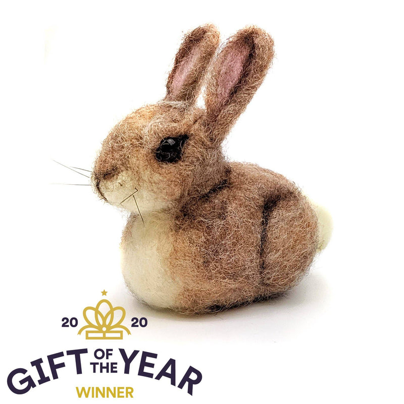 Baby Bunny - Needle Felting Craft Kit