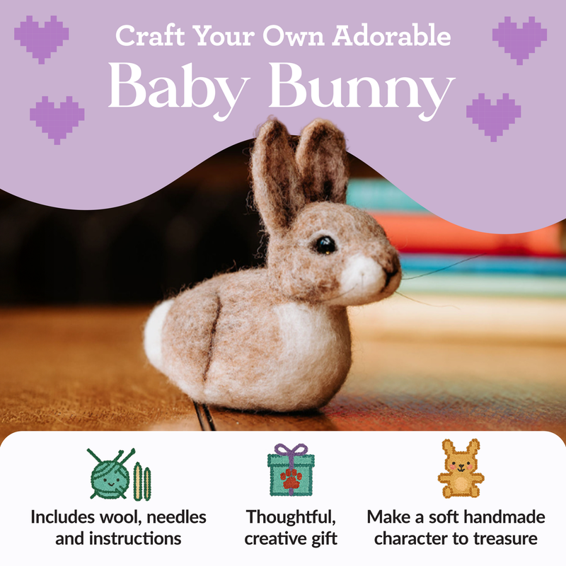 Baby Bunny - Needle Felting Craft Kit