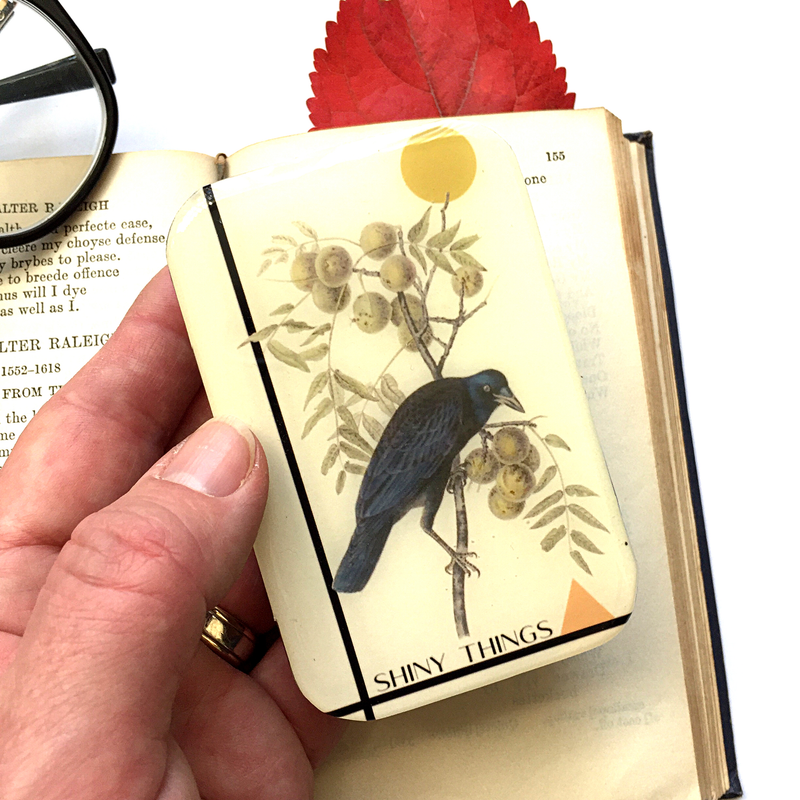 Crow, Shiny Things notions Tin