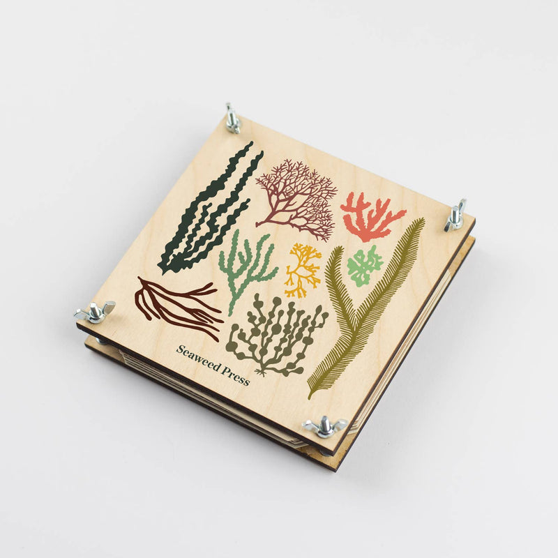 Seaweed Press Kit by Studio Wald