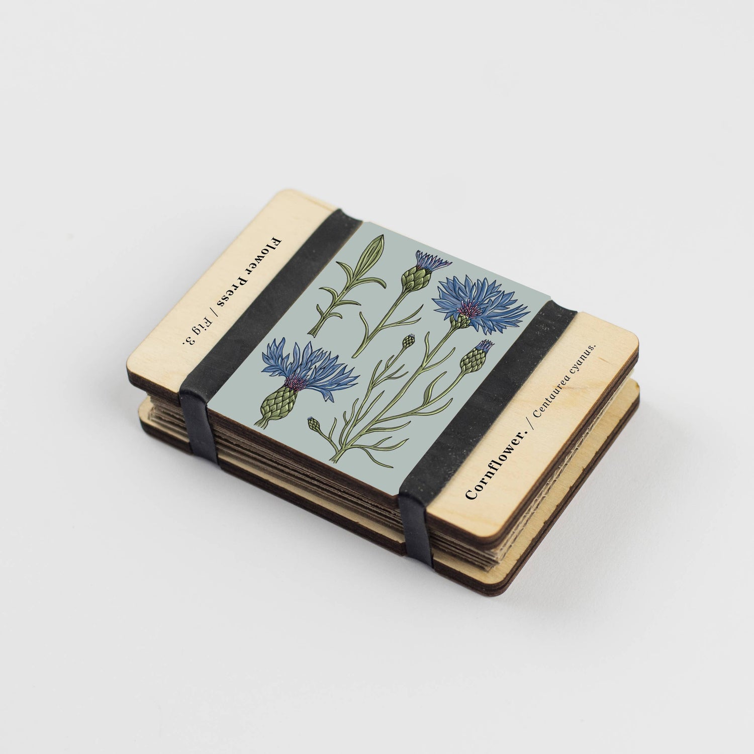 Vintage Cornflower Pocket Flower Press by Studio Ward