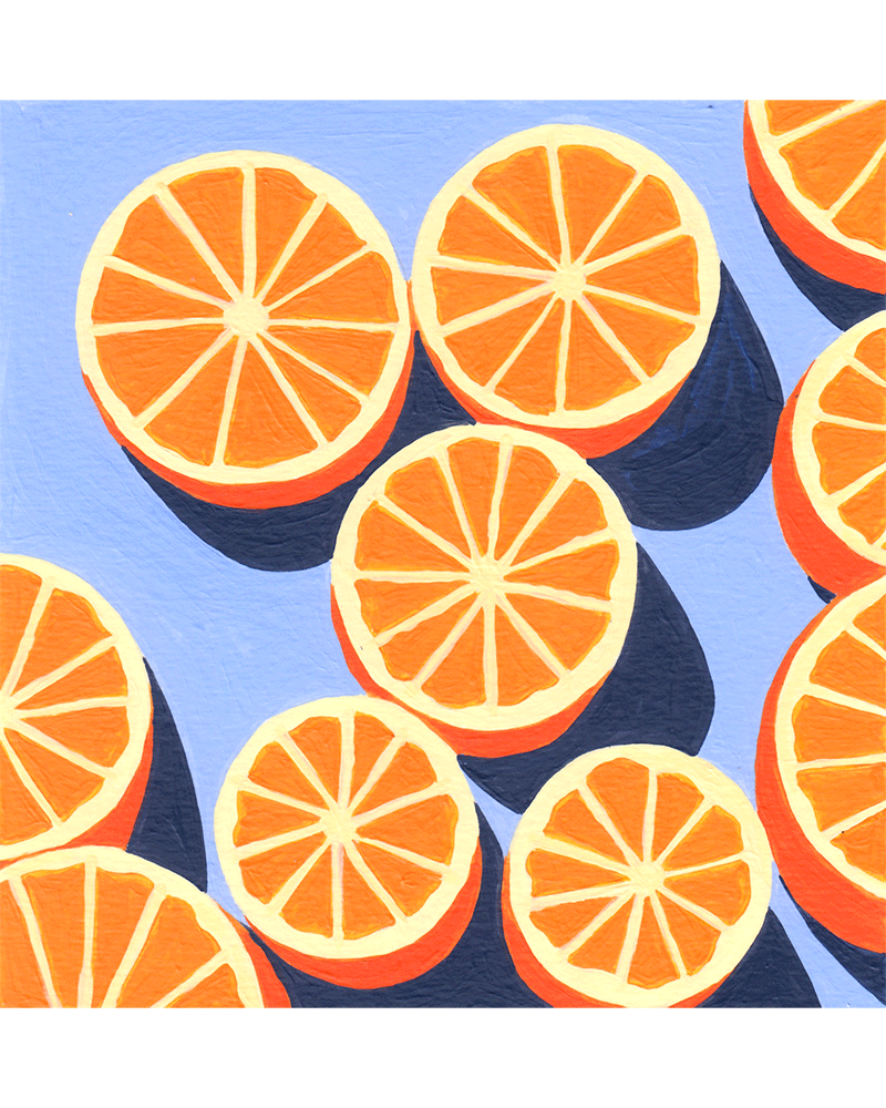 Agrumes Needlepoint Kit | DIY Embroidery by Ana Popescu