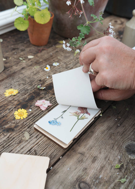 Vintage Corn Poppy Pocket Flower Press by Studio Ward