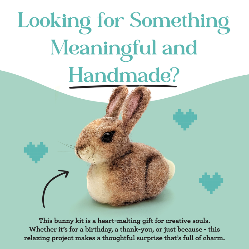 Baby Bunny - Needle Felting Craft Kit