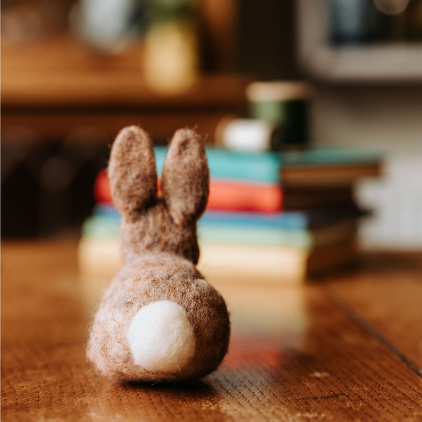 Baby Bunny - Needle Felting Craft Kit