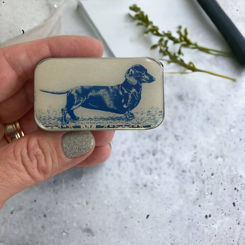 Dachshund notions tin