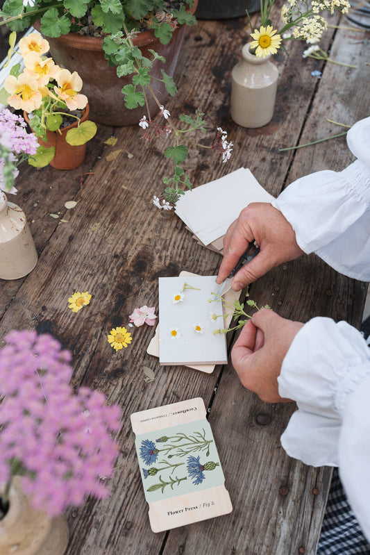 Vintage Cornflower Pocket Flower Press by Studio Ward