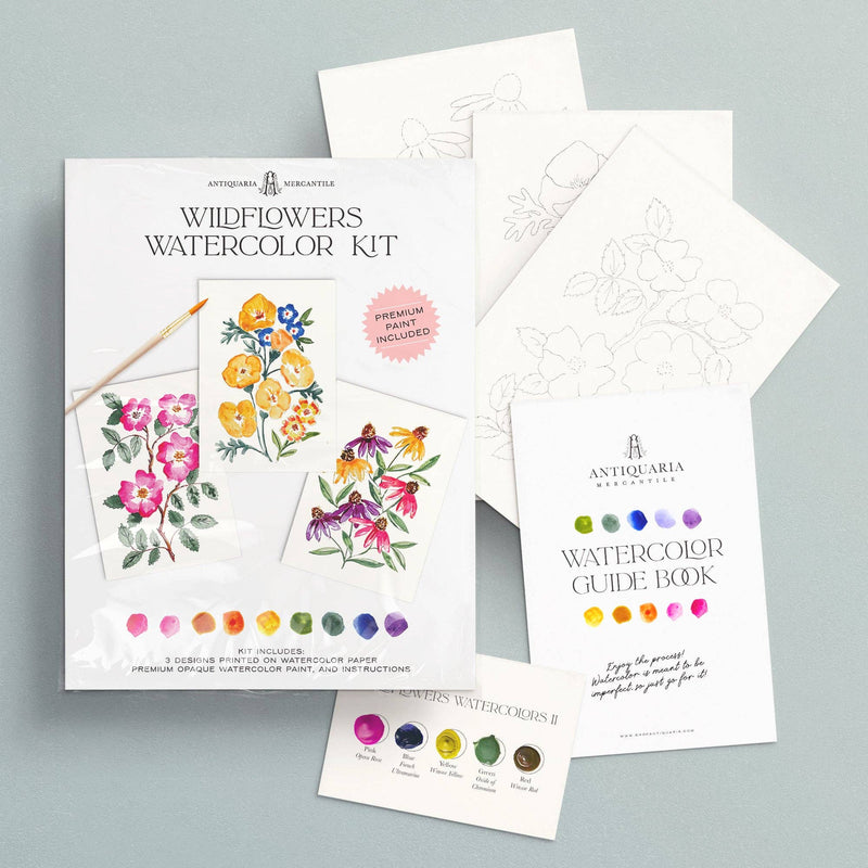 Watercolor Painting Kit : Wildflowers No1 by Antiquaria Mercantile