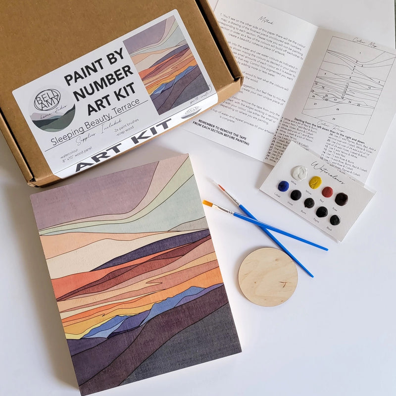Paint By Number Art Kit by Bellamy Home Studio
