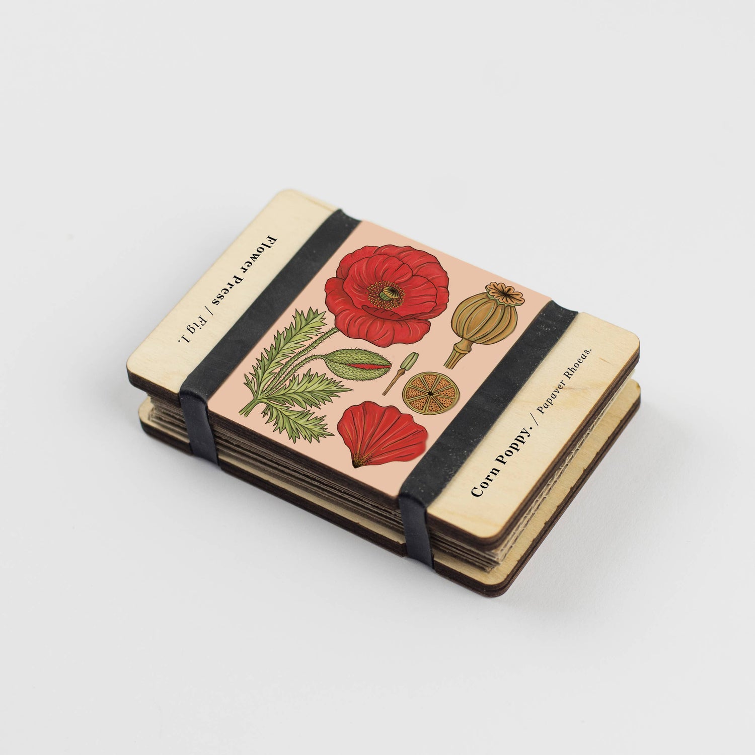Vintage Corn Poppy Pocket Flower Press by Studio Ward