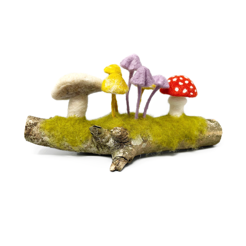 Woodland Toadstools - Needle Felting Craft Kit