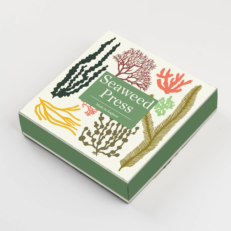 Seaweed Press Kit by Studio Wald