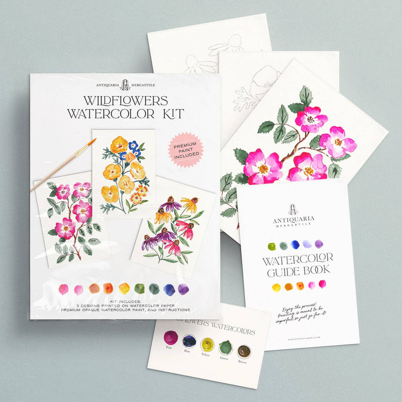 Watercolor Painting Kit : Wildflowers No1 by Antiquaria Mercantile