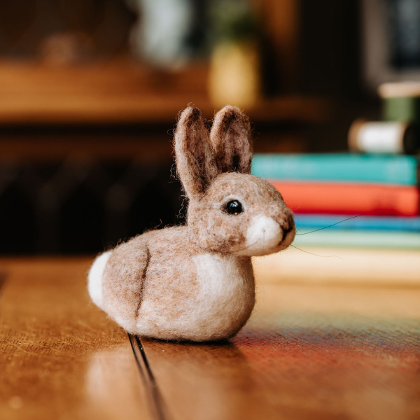 Baby Bunny - Needle Felting Craft Kit