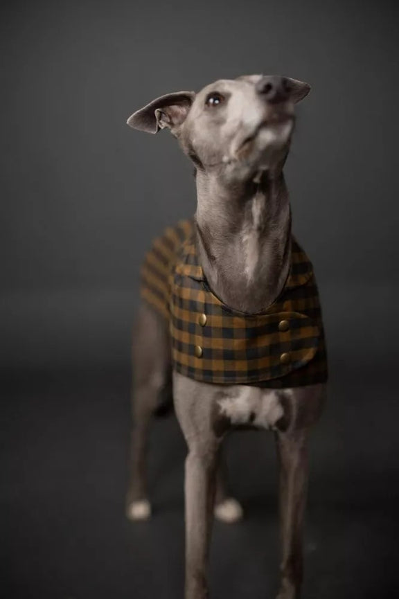 BARKA Dog Coat *less than 1m